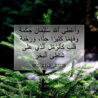 Picture 07 - اَلْمُلُوكِ ٱلْأَوَّلُ 4:29 AVD - وَأَعْطَى ٱللهُ - Bible Verse Picture