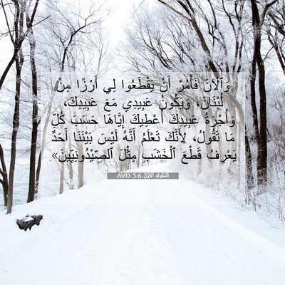 Picture 07 - اَلْمُلُوكِ ٱلْأَوَّلُ 5:6 AVD - وَٱلْآنَ فَأْمُرْ أَنْ - Bible Verse Picture