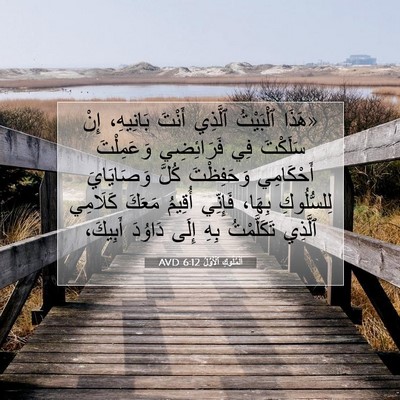 Picture 07 - اَلْمُلُوكِ ٱلْأَوَّلُ 6:12 AVD - «هَذَا ٱلْبَيْتُ ٱلَّذِي - Bible Verse Picture