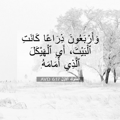 Picture 07 - اَلْمُلُوكِ ٱلْأَوَّلُ 6:17 AVD - وَأَرْبَعُونَ ذِرَاعًا - Bible Verse Picture