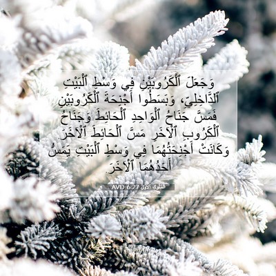 Picture 07 - اَلْمُلُوكِ ٱلْأَوَّلُ 6:27 AVD - وَجَعَلَ ٱلْكَرُوبَيْنِ - Bible Verse Picture