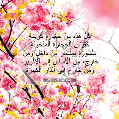 Picture 07 - اَلْمُلُوكِ ٱلْأَوَّلُ 7:9 AVD - كُلُّ هَذِهِ مِنْ - Bible Verse Picture