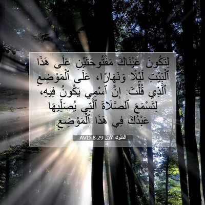 Picture 07 - اَلْمُلُوكِ ٱلْأَوَّلُ 8:29 AVD - لِتَكُونَ عَيْنَاكَ - Bible Verse Picture