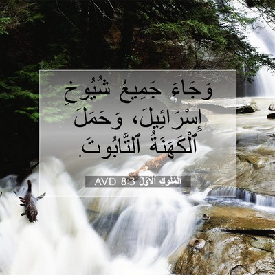 Picture 07 - اَلْمُلُوكِ ٱلْأَوَّلُ 8:3 AVD - وَجَاءَ جَمِيعُ شُيُوخِ - Bible Verse Picture