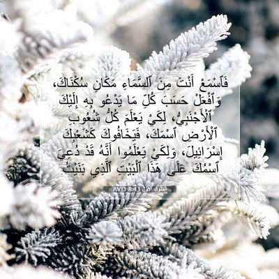 Picture 07 - اَلْمُلُوكِ ٱلْأَوَّلُ 8:43 AVD - فَٱسْمَعْ أَنْتَ مِنَ - Bible Verse Picture