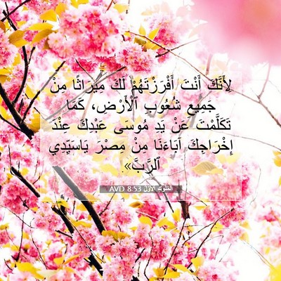 Picture 07 - اَلْمُلُوكِ ٱلْأَوَّلُ 8:53 AVD - لِأَنَّكَ أَنْتَ - Bible Verse Picture