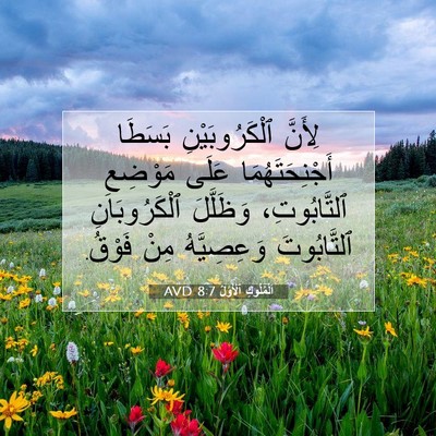 Picture 07 - اَلْمُلُوكِ ٱلْأَوَّلُ 8:7 AVD - لِأَنَّ ٱلْكَرُوبَيْنِ - Bible Verse Picture