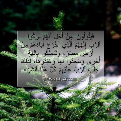 Picture 07 - اَلْمُلُوكِ ٱلْأَوَّلُ 9:9 AVD - فَيَقُولُونَ: مِنْ أَجْلِ - Bible Verse Picture