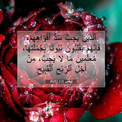 Picture 07 - تِيطُس 1:11 AVD - ٱلَّذِينَ يَجِبُ سَدُّ - Bible Verse Picture