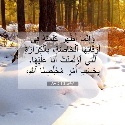 Picture 07 - تِيطُس 1:3 AVD - وَإِنَّمَا أَظْهَرَ - Bible Verse Picture