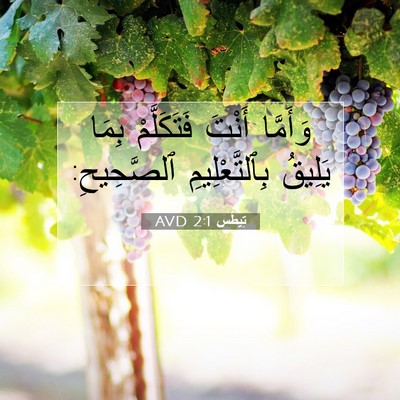 Picture 07 - تِيطُس 2:1 AVD - وَأَمَّا أَنْتَ - Bible Verse Picture