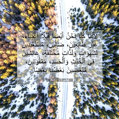 Picture 07 - تِيطُس 3:3 AVD - لِأَنَّنَا كُنَّا نَحْنُ - Bible Verse Picture
