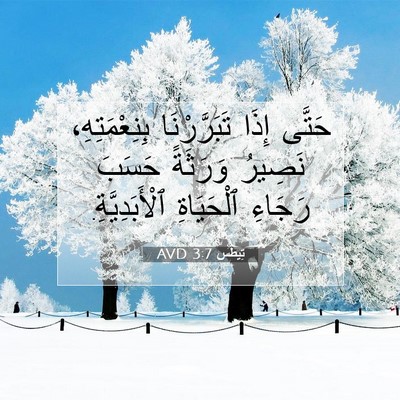 Picture 07 - تِيطُس 3:7 AVD - حَتَّى إِذَا تَبَرَّرْنَا - Bible Verse Picture