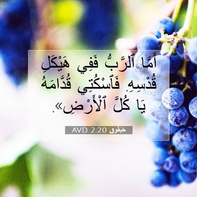Picture 07 - حَبَقُّوق 2:20 AVD - أَمَّا ٱلرَّبُّ فَفِي - Bible Verse Picture