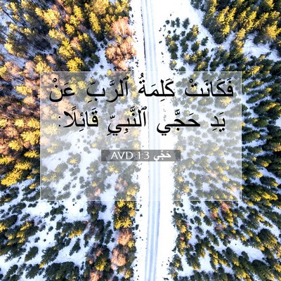 Picture 07 - حَجَّي 1:3 AVD - فَكَانَتْ كَلِمَةُ - Bible Verse Picture