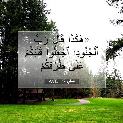 Picture 07 - حَجَّي 1:7 AVD - «هَكَذَا قَالَ رَبُّ - Bible Verse Picture