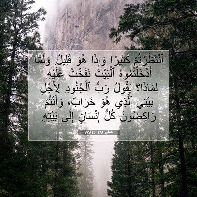 Picture 07 - حَجَّي 1:9 AVD - ٱنْتَظَرْتُمْ كَثِيرًا - Bible Verse Picture