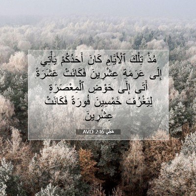 Picture 07 - حَجَّي 2:16 AVD - مُذْ تِلْكَ ٱلْأَيَّامِ - Bible Verse Picture