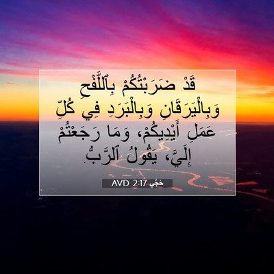 Picture 07 - حَجَّي 2:17 AVD - قَدْ ضَرَبْتُكُمْ - Bible Verse Picture