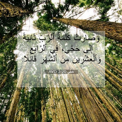 Picture 07 - حَجَّي 2:20 AVD - وَصَارَتْ كَلِمَةُ - Bible Verse Picture