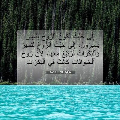 Picture 07 - حِزْقِيَال 1:20 AVD - إِلَى حَيْثُ تَكُونُ - Bible Verse Picture