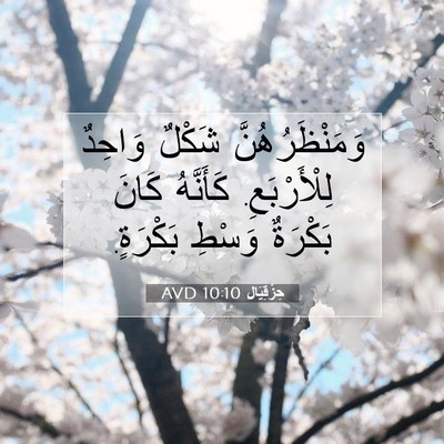 Picture 07 - حِزْقِيَال 10:10 AVD - وَمَنْظَرُهُنَّ شَكْلٌ - Bible Verse Picture