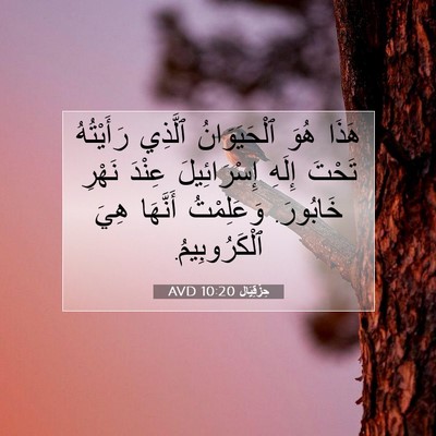 Picture 07 - حِزْقِيَال 10:20 AVD - هَذَا هُوَ ٱلْحَيَوَانُ - Bible Verse Picture