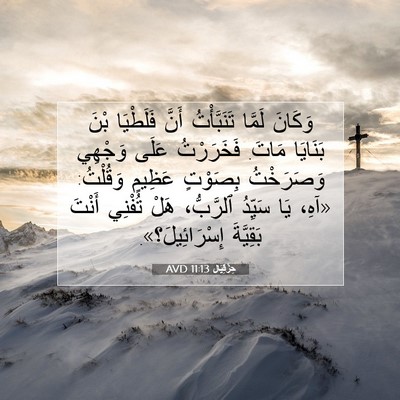 Picture 07 - حِزْقِيَال 11:13 AVD - وَكَانَ لَمَّا - Bible Verse Picture