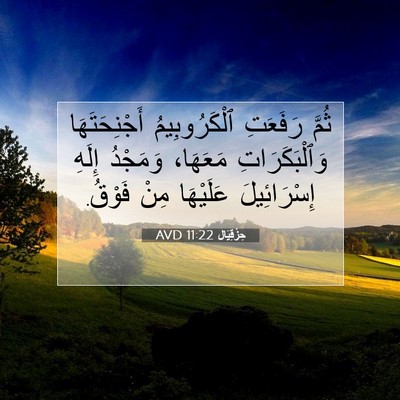 Picture 07 - حِزْقِيَال 11:22 AVD - ثُمَّ رَفَعَتِ - Bible Verse Picture