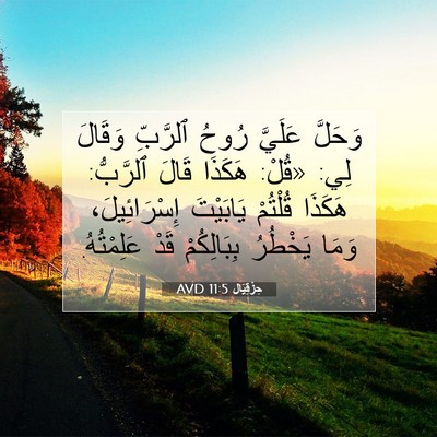 Picture 07 - حِزْقِيَال 11:5 AVD - وَحَلَّ عَلَيَّ رُوحُ - Bible Verse Picture
