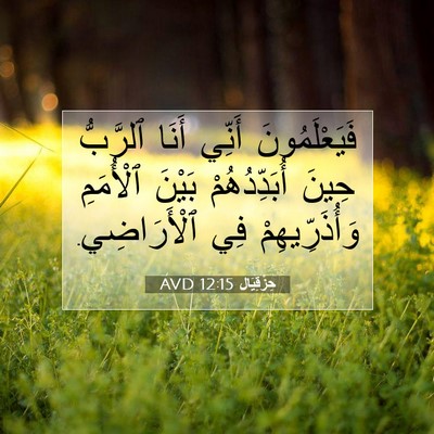 Picture 07 - حِزْقِيَال 12:15 AVD - فَيَعْلَمُونَ أَنِّي - Bible Verse Picture