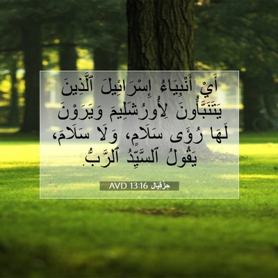 Picture 07 - حِزْقِيَال 13:16 AVD - أَيْ أَنْبِيَاءُ - Bible Verse Picture