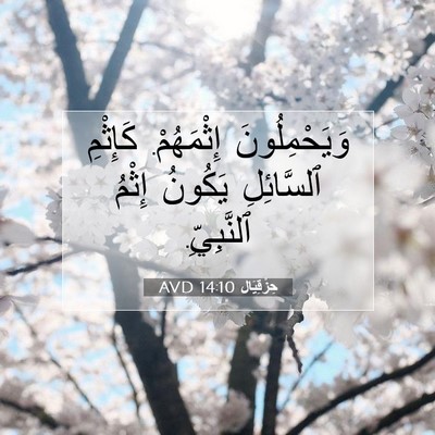 Picture 07 - حِزْقِيَال 14:10 AVD - وَيَحْمِلُونَ إِثْمَهُمْ. - Bible Verse Picture