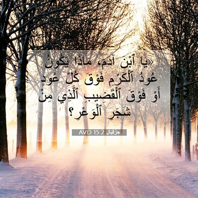Picture 07 - حِزْقِيَال 15:2 AVD - «يَا ٱبْنَ آدَمَ، مَاذَا - Bible Verse Picture