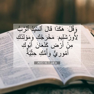 Picture 07 - حِزْقِيَال 16:3 AVD - وَقُلْ: هَكَذَا قَالَ - Bible Verse Picture