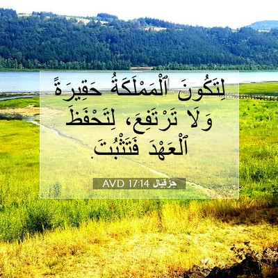 Picture 07 - حِزْقِيَال 17:14 AVD - لِتَكُونَ ٱلْمَمْلَكَةُ - Bible Verse Picture