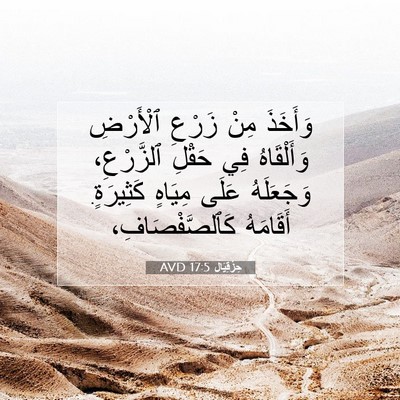 Picture 07 - حِزْقِيَال 17:5 AVD - وَأَخَذَ مِنْ زَرْعِ - Bible Verse Picture
