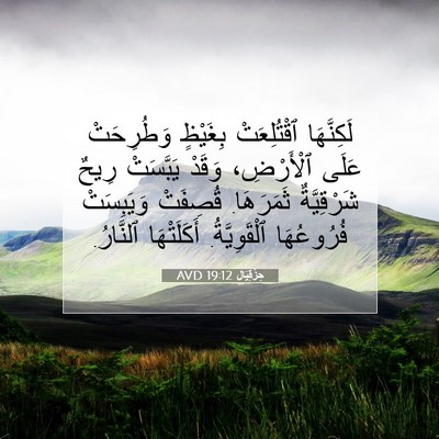 Picture 07 - حِزْقِيَال 19:12 AVD - لَكِنَّهَا ٱقْتُلِعَتْ - Bible Verse Picture