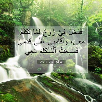 Picture 07 - حِزْقِيَال 2:2 AVD - فَدَخَلَ فِيَّ رُوحٌ - Bible Verse Picture