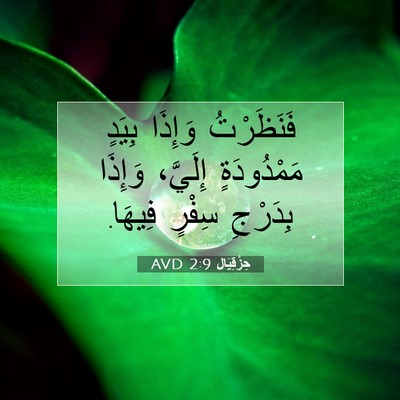 Picture 07 - حِزْقِيَال 2:9 AVD - فَنَظَرْتُ وَإِذَا بِيَدٍ - Bible Verse Picture