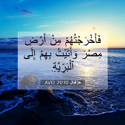 Picture 07 - حِزْقِيَال 20:10 AVD - فَأَخْرَجْتُهُمْ مِنْ - Bible Verse Picture
