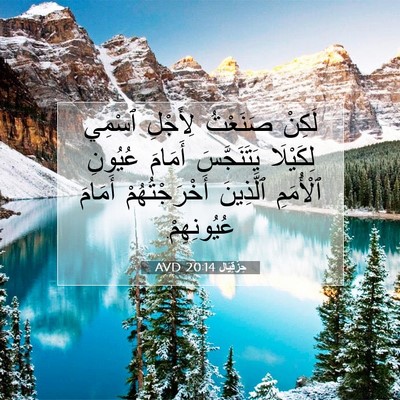 Picture 07 - حِزْقِيَال 20:14 AVD - لَكِنْ صَنَعْتُ لِأَجْلِ - Bible Verse Picture