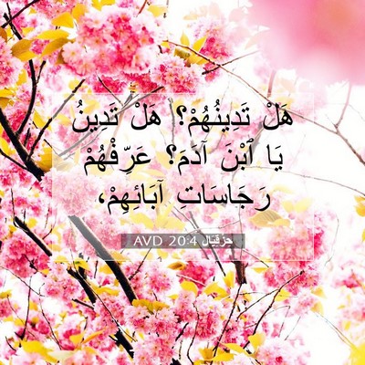 Picture 07 - حِزْقِيَال 20:4 AVD - هَلْ تَدِينُهُمْ؟ هَلْ - Bible Verse Picture