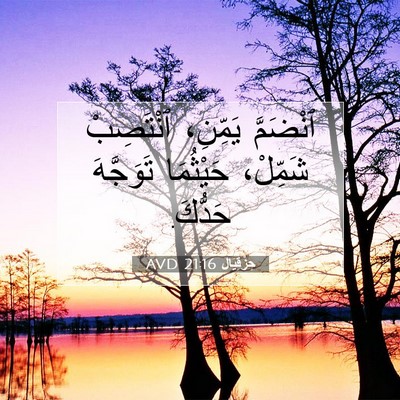 Picture 07 - حِزْقِيَال 21:16 AVD - ٱنْضَمَّ يَمِّنِ، - Bible Verse Picture