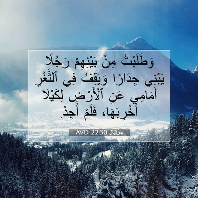 Picture 07 - حِزْقِيَال 22:30 AVD - وَطَلَبْتُ مِنْ - Bible Verse Picture