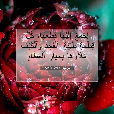 Picture 07 - حِزْقِيَال 24:4 AVD - اِجْمَعْ إِلَيْهَا - Bible Verse Picture