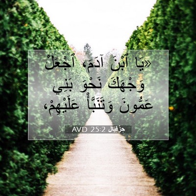 Picture 07 - حِزْقِيَال 25:2 AVD - «يَا ٱبْنَ آدَمَ، ٱجْعَلْ - Bible Verse Picture