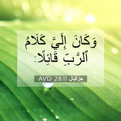 Picture 07 - حِزْقِيَال 28:11 AVD - وَكَانَ إِلَيَّ كَلَامُ - Bible Verse Picture