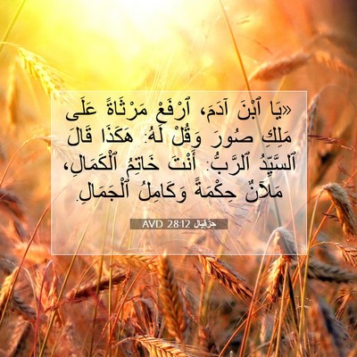 Picture 07 - حِزْقِيَال 28:12 AVD - «يَا ٱبْنَ آدَمَ، ٱرْفَعْ - Bible Verse Picture