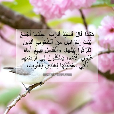 Picture 07 - حِزْقِيَال 28:25 AVD - هَكَذَا قَالَ ٱلسَّيِّدُ - Bible Verse Picture
